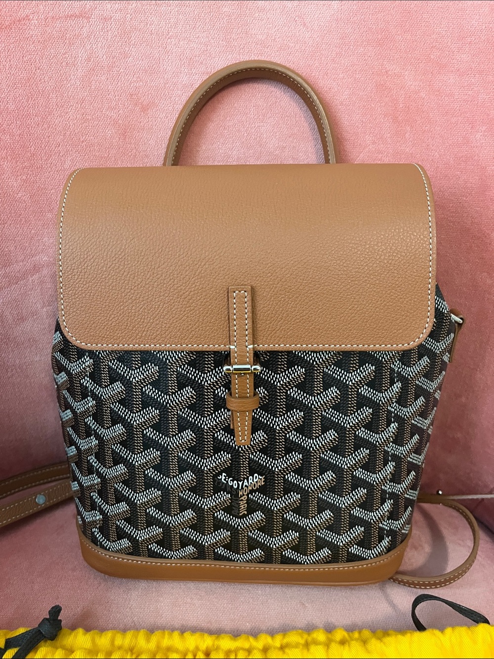 Goyard Alpin Mini Backpack